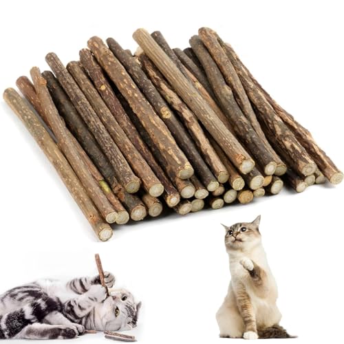 CUEMOON 32 Stück Katzen Kauhölzer Sticks, Katzenspielzeug zum Zähneputzen für Katzen Zahnpflege & Gegen Mundgeruch Natürlich Sicher Katzensticks Kausticks Set von CUEMOON