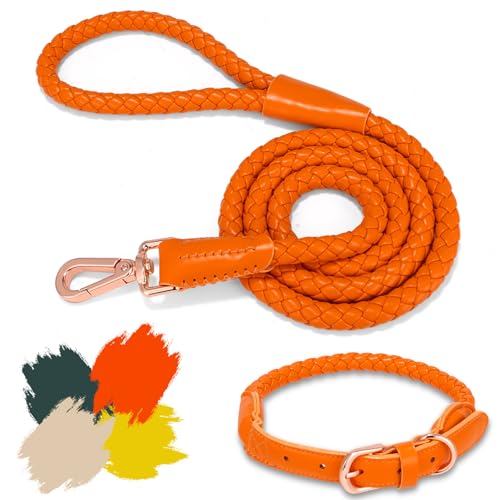 Hundehalsband und Leine, weiches Leder, stilvoll, robust, geflochten, wasserdicht, robuste rotgoldene Schnalle, 1,2 m, für große, mittelgroße und kleine Hunde, Spaziergangstraining (Orange, L) von CUGBCUG
