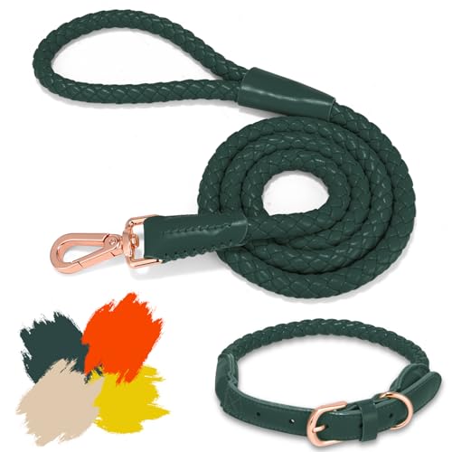 Hundehalsband und Leine, weiches Leder, stilvoll, robust, geflochten, wasserdicht, robuste rotgoldene Schnalle, 122 cm, für große, mittelgroße und kleine Hunde, Grün, Größe L von CUGBCUG