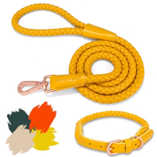 Hundehalsband und Leine, weiches Leder, stilvoll, robust, geflochten, wasserdicht, robuste rotgoldene Schnalle, 122 cm, für große, mittelgroße und kleine Hunde, Gelb, Größe M Hundehalsband und Leine, weiches Leder, stilvoll, robust, geflochten, wasserdicht, robuste rotgoldene Schnalle, 122 cm, für große, mittelgroße und kleine Hunde, Gelb, Größe M von CUGBCUG
