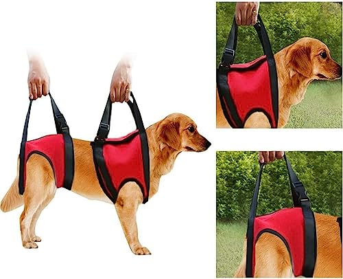 Hundehebegeschirr, Gehhilfe Für Haustiere, Zugweste, Rehabilitationsschlingenunterstützung Für Alte Und Verletzte Hunde,M Hundehebegeschirr, Gehhilfe Für Haustiere, Zugweste, Rehabilitationsschlingenunterstützung Für Alte Und Verletzte Hunde,M von CUSMA