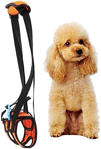 Hundestützgeschirr, Rehabilitationsschlingen, Um Hunden Mit Schwachen Vorder- Und Hinterbeinen Beim Aufstehen, Gehen Und Treppensteigen Zu Helfen,Orange,XXL Hundestützgeschirr, Rehabilitationsschlingen, Um Hunden Mit Schwachen Vorder- Und Hinterbeinen Beim Aufstehen, Gehen Und Treppensteigen Zu Helfen,Orange,XXL von CUSMA