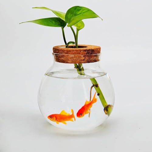 Süßes Betta-Fischbecken für kleine Aquarien, Glasbehälter für Beta-Fische und Pflanzen, Schreibtisch-Dekoration für Zuhause und Büro, Geschenkidee Süßes Betta-Fischbecken für kleine Aquarien, Glasbehälter für Beta-Fische und Pflanzen, Schreibtisch-Dekoration für Zuhause und Büro, Geschenkidee von CUSNESTAL