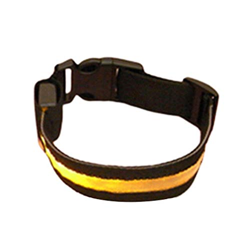 CUSROS Fashion Dog Pet Night Safety Collar Flashing Light Up Nylon Collar Band Gift for Your Pet Yellow L von CUSROS