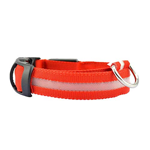CUSROS USB-Lade-LED-Blinklicht für Hunde, Welpen, Haustiere, Anti-Verlust-Warnung, Sicherheitshalsband, Hundehalsband, Halsband, Blau, XS CUSROS USB-Lade-LED-Blinklicht für Hunde, Welpen, Haustiere, Anti-Verlust-Warnung, Sicherheitshalsband, Hundehalsband, Halsband, Blau, XS von CUSROS