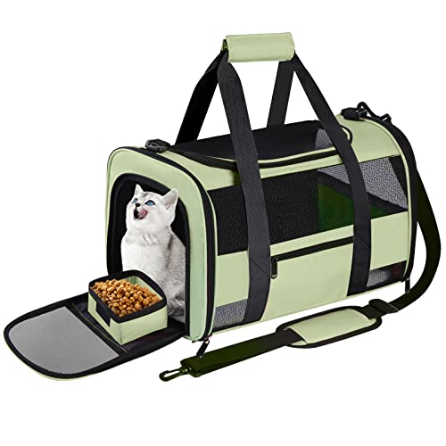 CUSSIOU Large Cat Carrier Dog Carrier, Pet Carrier for 2 Cats Large Cats, Dog Carrier for Medium Small Dogs, Collapsible Soft Sided Pet Carrier for Cats Dogs Puppy of 25LB, Green von CUSSIOU