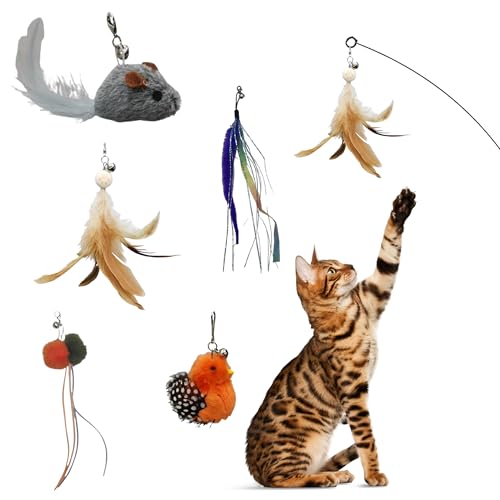 CUTIE PAW PAL Interaktives Katzenspielzeug-Set - Bundles (5 Ersatz-Tier- und Vogelspielzeuge, 5er-Set, Würmer und Tierkombination) von CUTIE PAW PAL