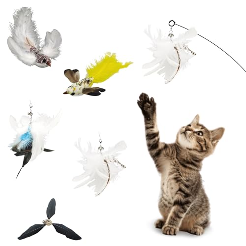 CUTIE PAW PAL Variety Play Set, 5 Pack Nachfüllpackungen für Zauberstab und Angelruten, Federdrähte, Tür-/Wandhängeseile, 2 Vogel-, 2 Feder- und Windmühlen-Katzenspielzeug - Glocken & einfaches von CUTIE PAW PAL