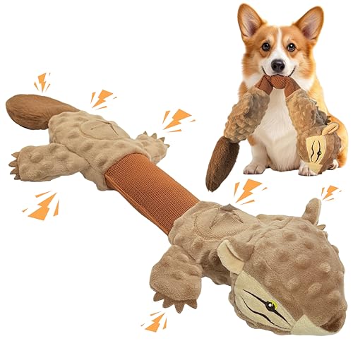 CUUOOT Hundespielzeug, Süßes Eichhörnchen Tauziehen Plüschhundespielzeug, Quietschendes Hundespielzeug mit Crinkle-Papier, Unzerstörbar Gefüllte Hundekauspielzeug für Kleine, Mittlere, Große Hunde von CUUOOT