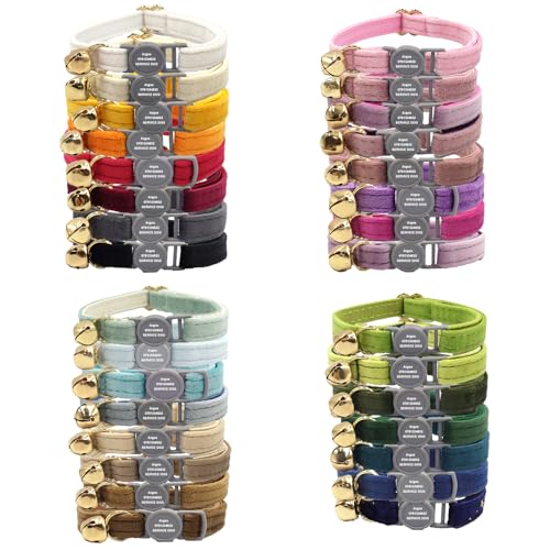 Katzenhalsband mit Namen und Telefonnummer, Katzenhalsband mit Sicherheitsverschluss und glöckchen, L, S, für Katzen von CUUOOT