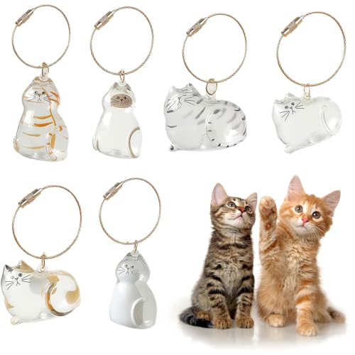 CUVZORA ARTGUTS 6 Stück Aufbewahrung Katzenhaar Schlüsselanhänger, Emotionales Andenken für Katzenliebhaber, Haustierbesitzer, Alltagsbegleiter und Sammler CUVZORA ARTGUTS 6 Stück Aufbewahrung Katzenhaar Schlüsselanhänger, Emotionales Andenken für Katzenliebhaber, Haustierbesitzer, Alltagsbegleiter und Sammler von CUVZORA