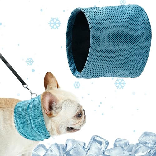 CUVZORA Kühlhalsband für Hunde, Hundehalsband Kühlend, Schnelle Kühlung und bequemes Tragen für Hunde im Sommer, Perfekt für Wanderungen, Spaziergänge und Spielzeit(Blau M) von CUVZORA