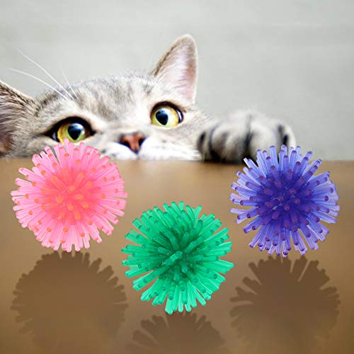 Fetch Balls, Pet Squeaky Balls, 10 Stück TPR Langlebig Tragbar Buntes Spielen für Hundetraining Cat von Fockety