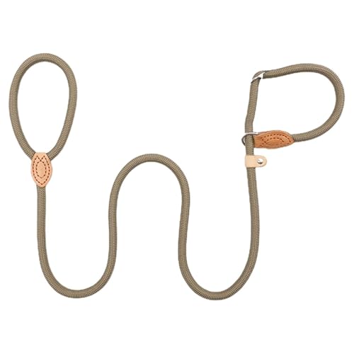 CVDYWDJIE 1 Stück 150 cm Langes Hundetrainingsseil, Hundeleine, Langlebige Leine, Verstellbare Leine, Heimtierbedarf CVDYWDJIE 1 Stück 150 cm Langes Hundetrainingsseil, Hundeleine, Langlebige Leine, Verstellbare Leine, Heimtierbedarf von CVDYWDJIE