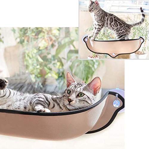 Katzen-Fensterbett mit Saugnäpfen – Katzen-Fensterstange, Auto-Hängematte, Sitzliege – Kätzchen-Ruhe-Sofa, sicheres Sonnenbad für kleine und mittlere Katzen (Beige) von CVERY