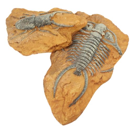 CVUTOVO 2 Stück Künstliche Fossilien für Terrarien Dekorative Reptilienbox Ornamente Gestaltung für Geckos Schildkröten und Hochwertige Langlebige Materialien von CVUTOVO