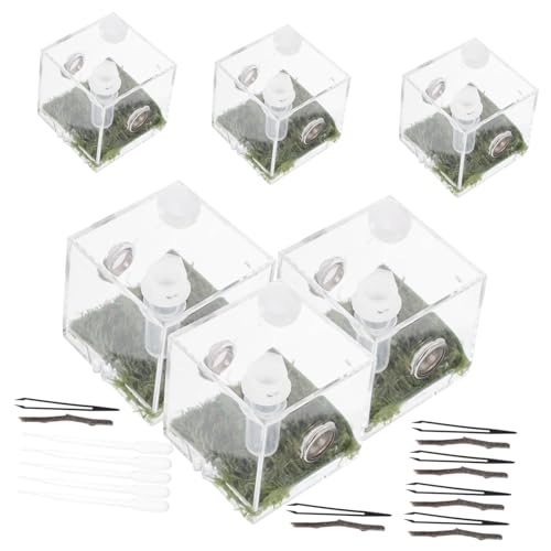 CVUTOVO 2Sätze Insekten Futterbox für Spinnen Lichtdurchlässig und Robust Habitat für Reptilien und Insektenbeobachtung Sicher und Langlebig CVUTOVO 2Sätze Insekten Futterbox für Spinnen Lichtdurchlässig und Robust Habitat für Reptilien und Insektenbeobachtung Sicher und Langlebig von CVUTOVO
