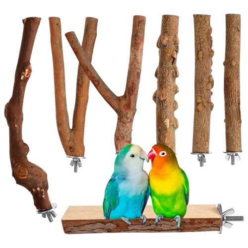 CVUTOVO 7stücke Teiliges Naturholz Sitzstangen Für Vögel Papageien Perches Spielzeug Und Zubehör Für Wellensittiche Und Nymphensittiche Einfache Im Käfig CVUTOVO 7stücke Teiliges Naturholz Sitzstangen Für Vögel Papageien Perches Spielzeug Und Zubehör Für Wellensittiche Und Nymphensittiche Einfache Im Käfig von CVUTOVO