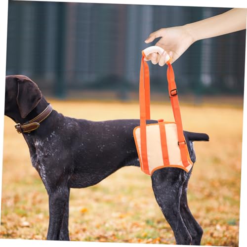 CVUTOVO Hundetragehilfe für Hinterbeine Verstellbar Leichter Hundegurt für Ältere und Verletzte Hunde Unterstützung Beim Treppensteigen und Hochkommen für Kleine bis Große Rassen von CVUTOVO