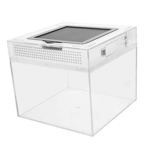 CVUTOVO Kreative Futterbox für Reptilien Hochtransparente Fütterungsbox für Eidechsen Schildkröten und Spinnen mit Magnetverschluss und Optimaler Belüftung für Sicheres Füttern und CVUTOVO Kreative Futterbox für Reptilien Hochtransparente Fütterungsbox für Eidechsen Schildkröten und Spinnen mit Magnetverschluss und Optimaler Belüftung für Sicheres Füttern und von CVUTOVO