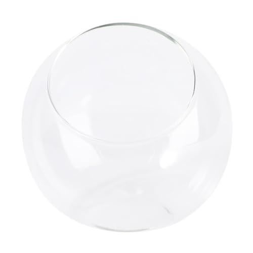 CVUTOVO Micro Landscape Glasbehälter Ø Terrarium Pflanzgefäß aus Glas für DIY Mikro landschaften Bonsai Sukkulenten Dekoration Nachhaltiger Glasflaschenkugel für Wohn Bürodeko CVUTOVO Micro Landscape Glasbehälter Ø Terrarium Pflanzgefäß aus Glas für DIY Mikro landschaften Bonsai Sukkulenten Dekoration Nachhaltiger Glasflaschenkugel für Wohn Bürodeko von CVUTOVO