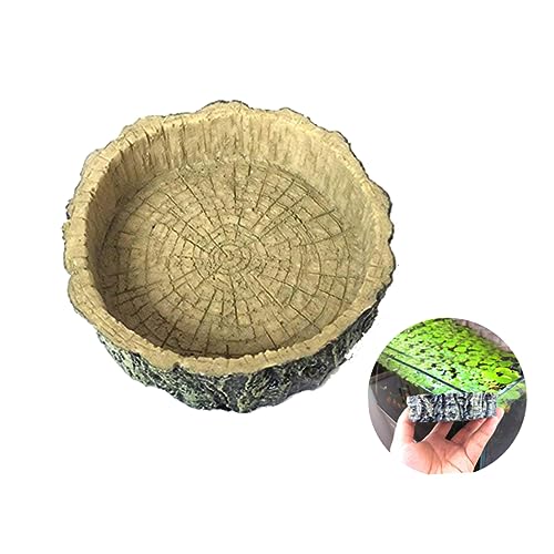 CVUTOVO Resin Pets Futter Und Wassernapf Für Reptilien Umweltfreundliche rutschfeste Futterschale Für Schildkröten Eidechsen Schlangen Und Andere Kleine Tiere CVUTOVO Resin Pets Futter Und Wassernapf Für Reptilien Umweltfreundliche rutschfeste Futterschale Für Schildkröten Eidechsen Schlangen Und Andere Kleine Tiere von CVUTOVO