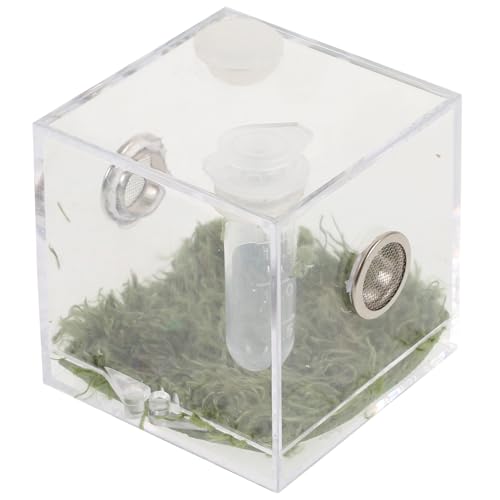 CVUTOVO Spinnenzuchtbox Transparent Fütterungsbehälter für Kleine Reptilien und Insekten Geeignet für Florida Spring und Geckos Aufkleber Temperaturmessgerät von CVUTOVO