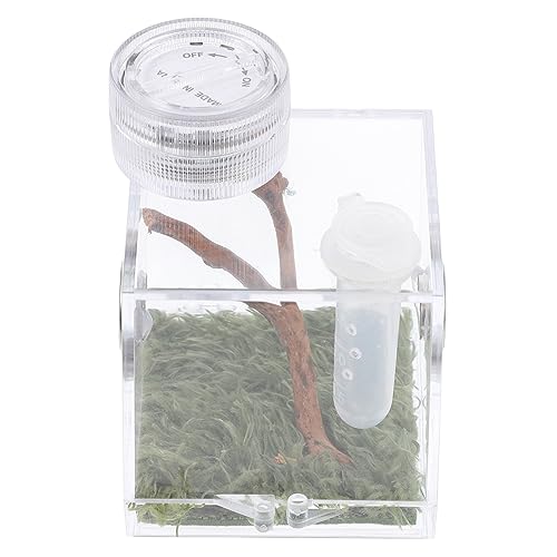 CVUTOVO Sprungspinnen Habitatbox mit Lampe Zuchtbox für Sprungspinnen Transparent mit Futteröffnung und Hygrometer für Terrarien und Insektenhaltung CVUTOVO Sprungspinnen Habitatbox mit Lampe Zuchtbox für Sprungspinnen Transparent mit Futteröffnung und Hygrometer für Terrarien und Insektenhaltung von CVUTOVO
