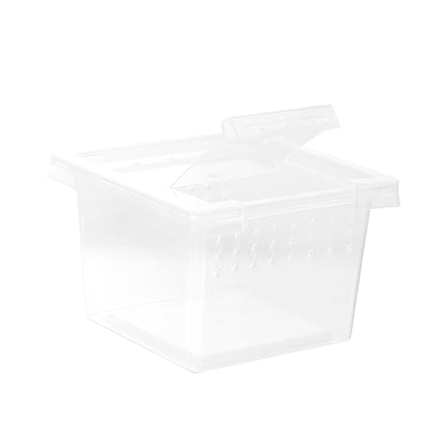 CVUTOVO Transparent Reptilien Aufzuchtbox aus Kunststoff für Spinnen Eidechsen und Kleine Schildkröten Fütterungsbox Leicht und Tragbar für Außenbereich CVUTOVO Transparent Reptilien Aufzuchtbox aus Kunststoff für Spinnen Eidechsen und Kleine Schildkröten Fütterungsbox Leicht und Tragbar für Außenbereich von CVUTOVO