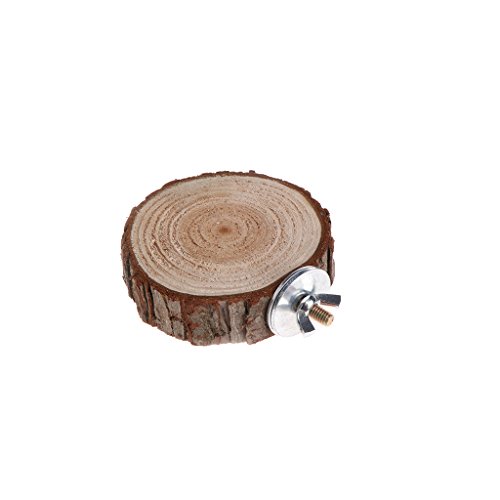 CVZJ Hamster-Sitzstange, Pedal, Plattform, für Papageien, Hamster, Aktivität, Chinchilla, Vogelkäfig, Zubehör, Holz CVZJ Hamster-Sitzstange, Pedal, Plattform, für Papageien, Hamster, Aktivität, Chinchilla, Vogelkäfig, Zubehör, Holz von CVZJ