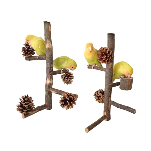 2PCS Papagei Barsch Vogelkäfig Zubehör Barsch Ständer Schraube Holz Barsch Vogel Spielzeug Vogel von CVZQTE