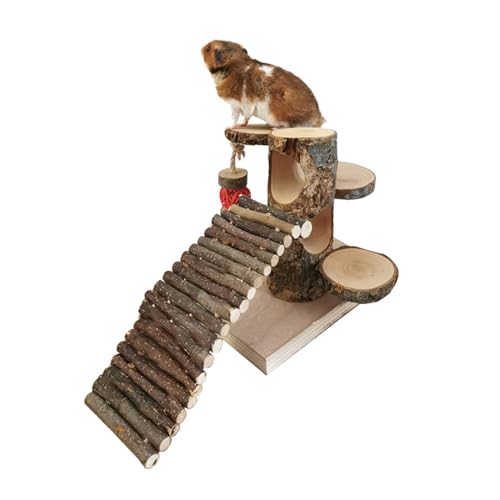 CVZQTE Hamster Schaukel Und Kletterspielzeug Zum Trainieren Lustiges Hamster Leiter Spielzeug Eine Anregende Umgebung Schafft Sie Aktiv Zu Halten. Hamster Plattform Hamster Plattform Mit Leiter CVZQTE Hamster Schaukel Und Kletterspielzeug Zum Trainieren Lustiges Hamster Leiter Spielzeug Eine Anregende Umgebung Schafft Sie Aktiv Zu Halten. Hamster Plattform Hamster Plattform Mit Leiter von CVZQTE