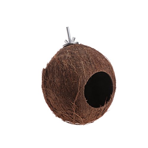 Vogelnest für Papageien, natürlich, für Muscheln, hängende Kette, Käfigspielzeug, Schaukel, H, Papageiennest, Vogel-Nistkästen, Fenster, Vogel-Nistkästen, UK-Vogel-Nistkästen zum Betrachten von von CVZQTE