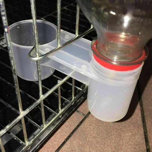 Pet Bird Waterer Cup Feeder, Connect Bottle, Easy Refill, Clean, Chicken Pigeon Pet Bird Waterer Cup Feeder, Connect Bottle, Easy Refill, Clean, Chicken Pigeon von CWOQOCW