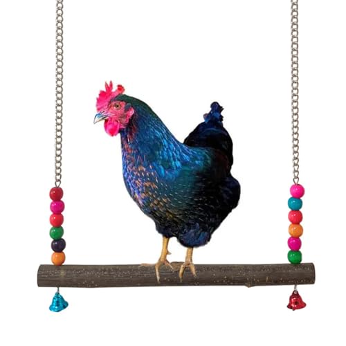 Hühnerschaukel, Vogel-Hängeschaukelspielzeug, Holzbeißspielzeug, Hühnerschaukel mit Glocke für mittelgroße und große Papageien, Kakadu, afrikanisches Grau, Aras, zufällige Farbe (L) von CXYYXF