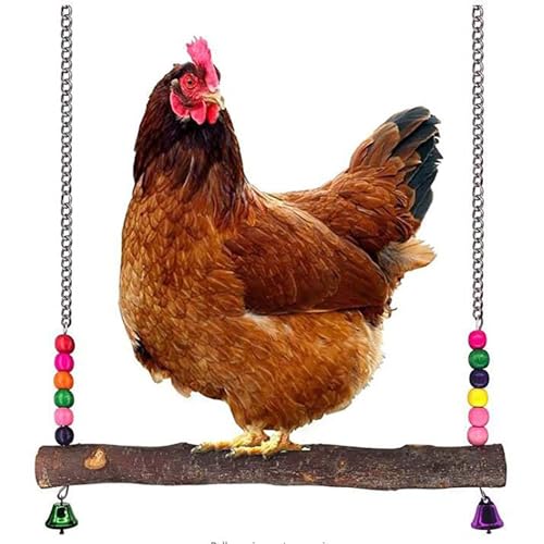 Vogel-Sitzstange, natürlicher Holzständer für Küken, handgefertigter Hühnerstall-Schaukel für Training, Hühnerstall-Zubehör für Lovebird, Sittiche, Nymphensittiche, Papagei, Hühner, Vogel (XL) von CXYYXF