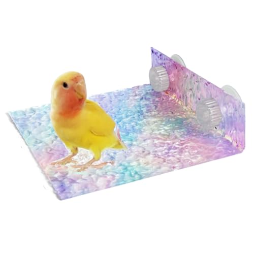 Vogelfenster/Badewanne/Auto/Reise-Sitzstange aus Acryl mit Saugnapf für kleine und mittelgroße Vögel, Papageien, Sittiche, Nymphensittiche, Wellensittiche, Wellensittiche (A) von CXYYXF