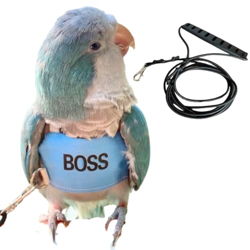 Vogelfluggeschirrweste, Papageien-Fluganzug mit Leine, fliegende Kleidung mit Seil und Griff für Outdoor-Aktivitäten (L) von CXYYXF