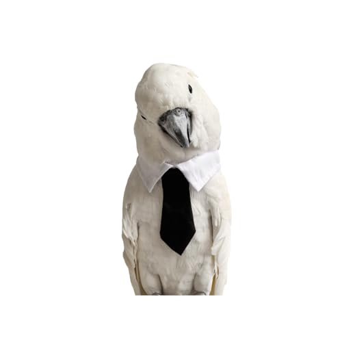 Vogelhalsband, Vogelkleidung, Papageienvogelbedarf, niedliches Halsband für mittelgroße und große Vögel, Eclectus, Kakadu, afrikanischer Grau, Amazon-Fliege, Schal, super süßes Kostüm, Foto-Requisite Vogelhalsband, Vogelkleidung, Papageienvogelbedarf, niedliches Halsband für mittelgroße und große Vögel, Eclectus, Kakadu, afrikanischer Grau, Amazon-Fliege, Schal, super süßes Kostüm, Foto-Requisite von CXYYXF