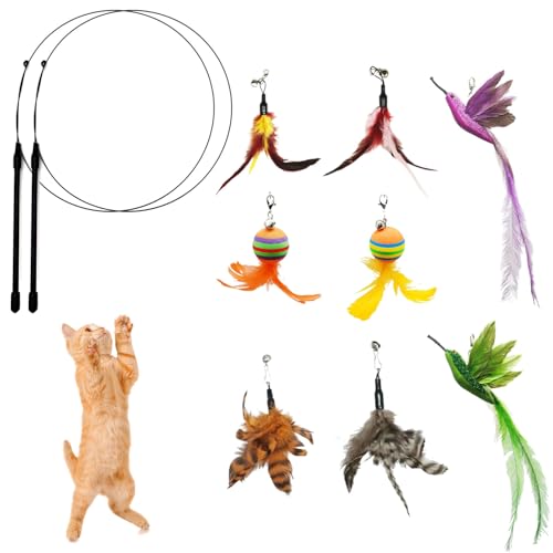 CYBERNOVA Interaktives Katzenspielzeug mit Federn für Erwachsene Katzen und Kätzchen, 8 Stück Ersatzvögel Bälle Federn mit Glocke und 2 Stück Handheld elastische Teaser Stäbe für Kitty Kitten (A) CYBERNOVA Interaktives Katzenspielzeug mit Federn für Erwachsene Katzen und Kätzchen, 8 Stück Ersatzvögel Bälle Federn mit Glocke und 2 Stück Handheld elastische Teaser Stäbe für Kitty Kitten (A) von CYBERNOVA