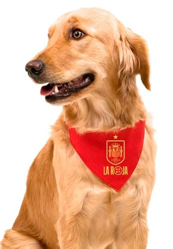 Spanische Auswahl - Hundehalsband, Zubehör für Haustiere, Rot, Größe S, Rot, offizielles Produkt (CyP Brands) von CYPBRANDS