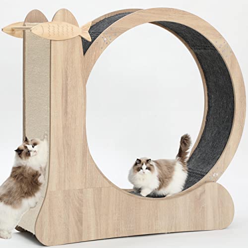 Katzenrad-Trainingsgerät für Indoor-Katzen, verbessertes Katzen-Laufrad mit Kratzer, Katzen-Laufband, großes Katzen-Laufrad mit leiser Landebahn, Laufrad für Katzenmöbel Katzenrad-Trainingsgerät für Indoor-Katzen, verbessertes Katzen-Laufrad mit Kratzer, Katzen-Laufband, großes Katzen-Laufrad mit leiser Landebahn, Laufrad für Katzenmöbel von CYlively