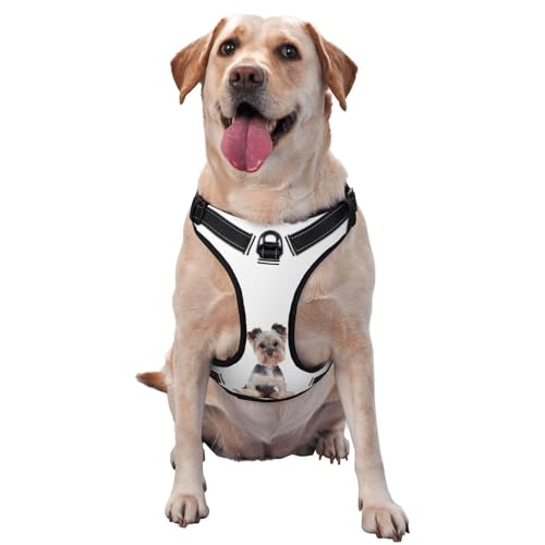 Atmungsaktives und verstellbares Hundegeschirr mit Leine, niedlich, sitzend, für große, mittelgroße und kleine Hunde, Grau von CZZYH
