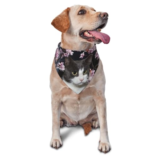 Dreieckige leichte atmungsaktive Hundehalstücher, Blume, würdevolle Katze, Hundehalstücher für große, mittelgroße und kleine Hunde und Katzen Dreieckige leichte atmungsaktive Hundehalstücher, Blume, würdevolle Katze, Hundehalstücher für große, mittelgroße und kleine Hunde und Katzen von CZZYH