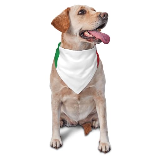 Dreieckige leichte Hundehalstücher, italienische Flagge, Hundehalstücher und Katzen von CZZYH