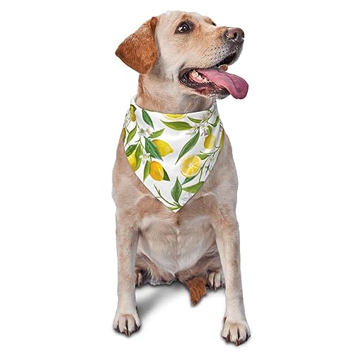 Dreieckiges Hundehalstuch, leicht, atmungsaktiv, Blumenblatt, Zitrone, Hundehalstücher für große, mittelgroße und kleine Hunde und Katzen von CZZYH