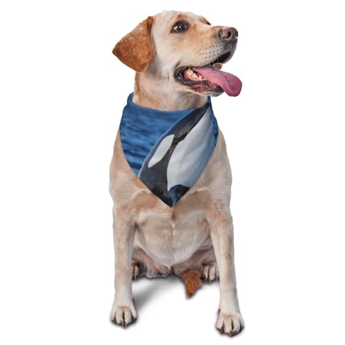 Dreieckiges Hundehalstuch, leicht, atmungsaktiv, Wal-Motiv, für große, mittelgroße und kleine Hunde und Katzen von CZZYH