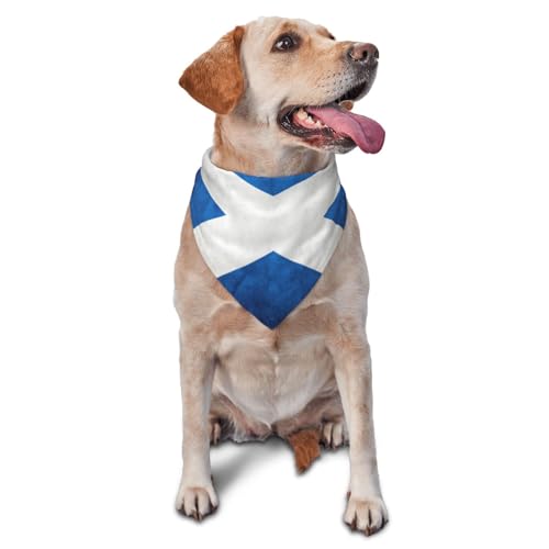 Dreieckiges Hundehalstuch, leicht, Schottische Flagge, und Katzen von CZZYH