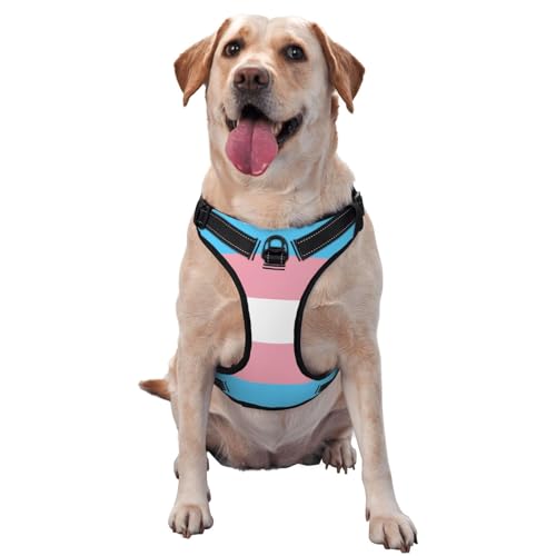 Hundegeschirr mit Leine, atmungsaktiv und verstellbar, für große, mittelgroße und kleine Hunde, Blau von CZZYH