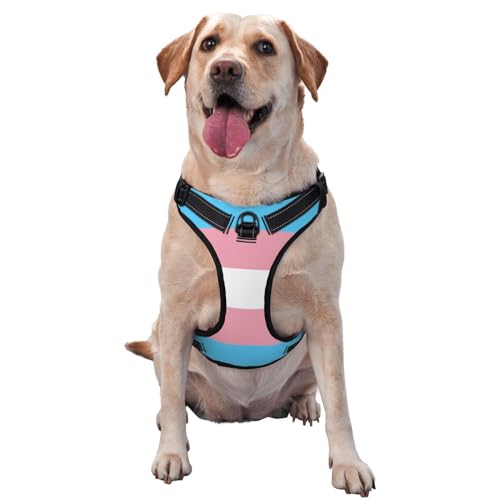 Hundegeschirr mit Leine, atmungsaktiv und verstellbar, für große, mittelgroße und kleine Hunde, Blau Hundegeschirr mit Leine, atmungsaktiv und verstellbar, für große, mittelgroße und kleine Hunde, Blau von CZZYH